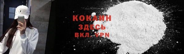 крисы Абаза