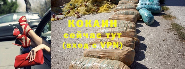 крисы Абаза
