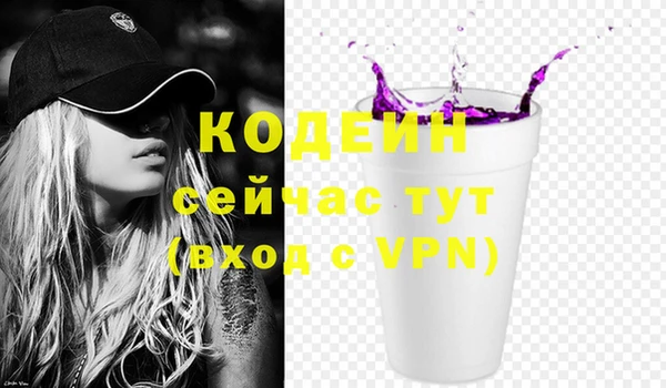 крисы Абаза