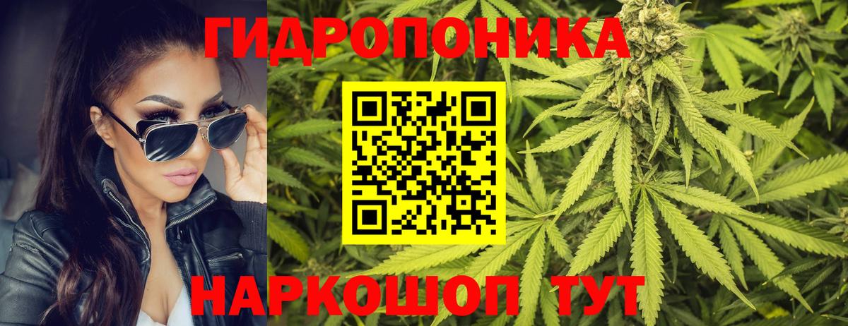Каннабис индика Отрадное